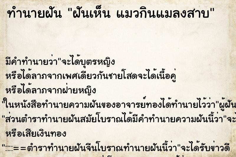 ทำนายฝันทำนายฝันฝันเห็นแมวกินแมลงสาบ